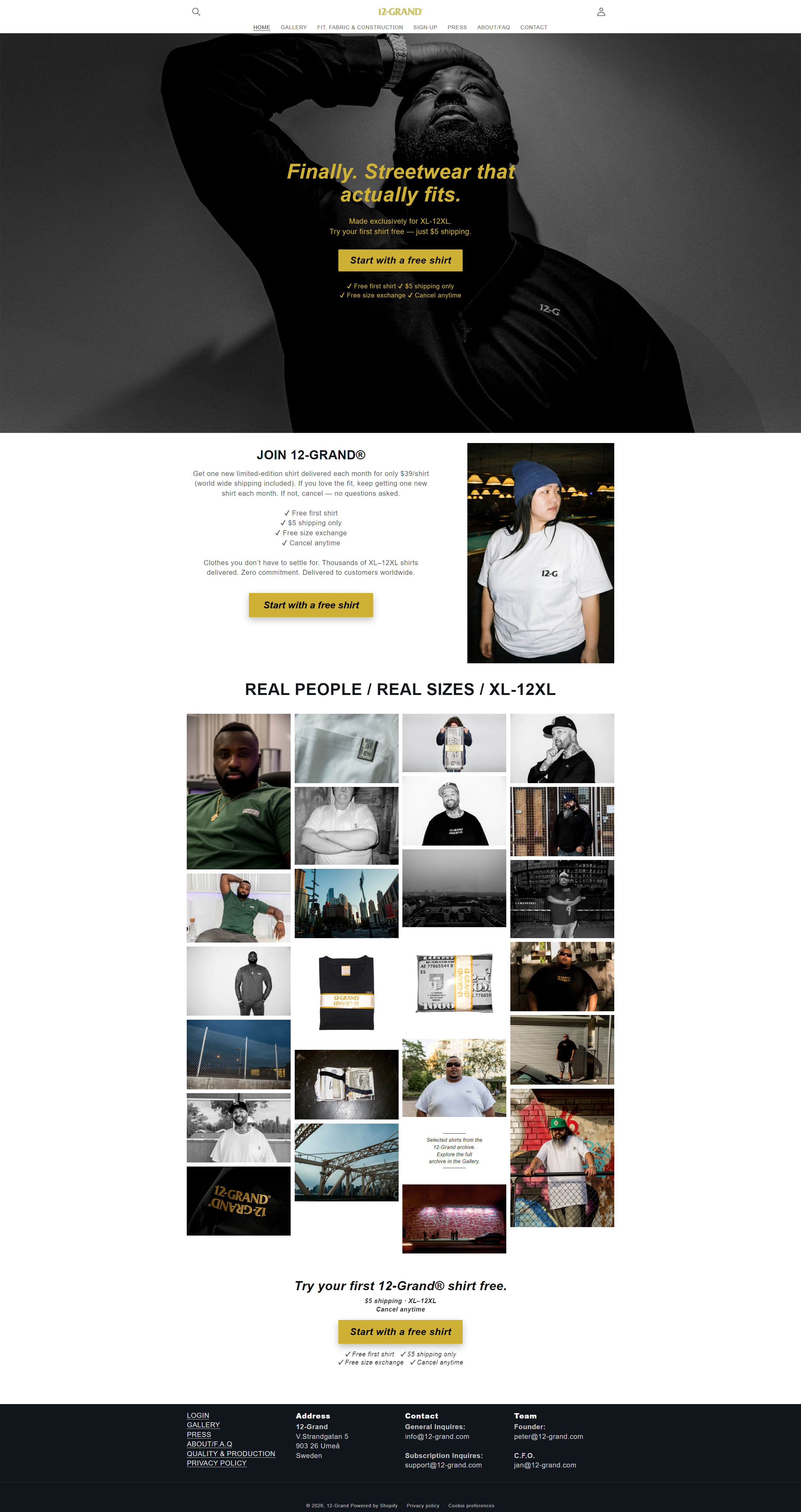 Preview of 12-Grand website